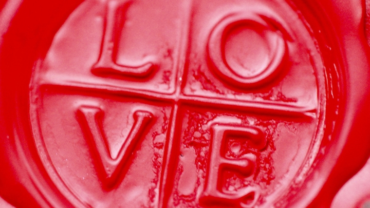 Photo by Susan Kirsch on Unsplash