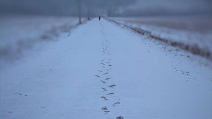 Photo by Timothy Brown on Unsplash