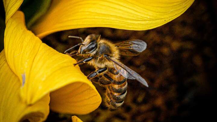 Photo by Richard Sagredo on Unsplash