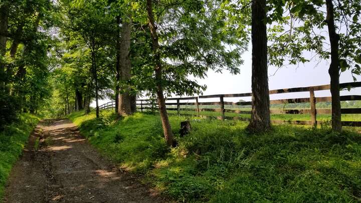 Photo by Andrea Merovich on Unsplash