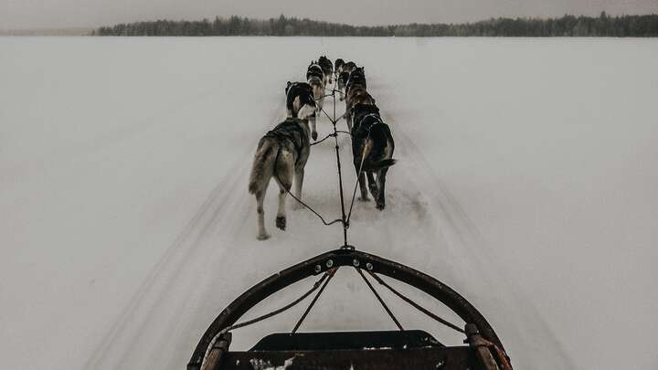 Photo by Sandra Seitamaa on Unsplash