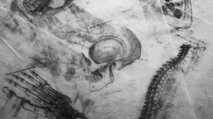 Photo by Joyce Hankins on Unsplash