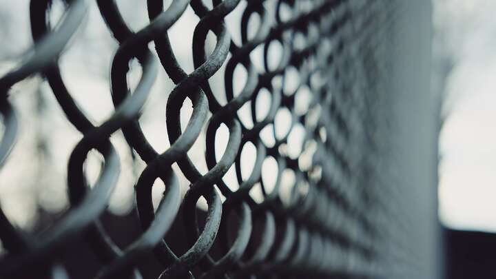 If a Man Asks for Bread, Will You Give Him a Stone?