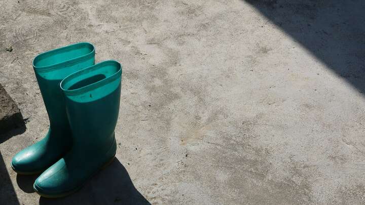 Photo by Brandy S on Unsplash