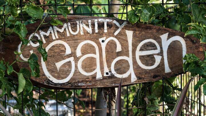 Good Food. Good Friends. Good for the Future.