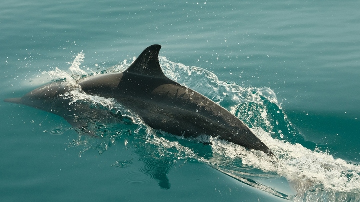 Photo by James Virtudazo on Unsplash