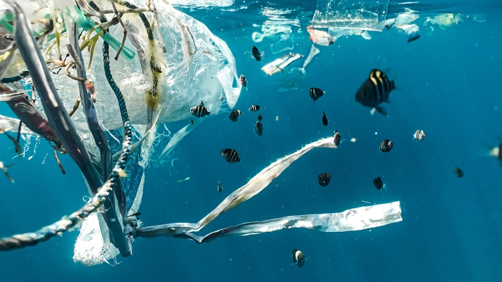 Photo by Naja Bertolt Jensen on Unsplash