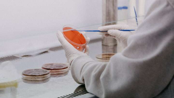 Photo by Trnava University on Unsplash