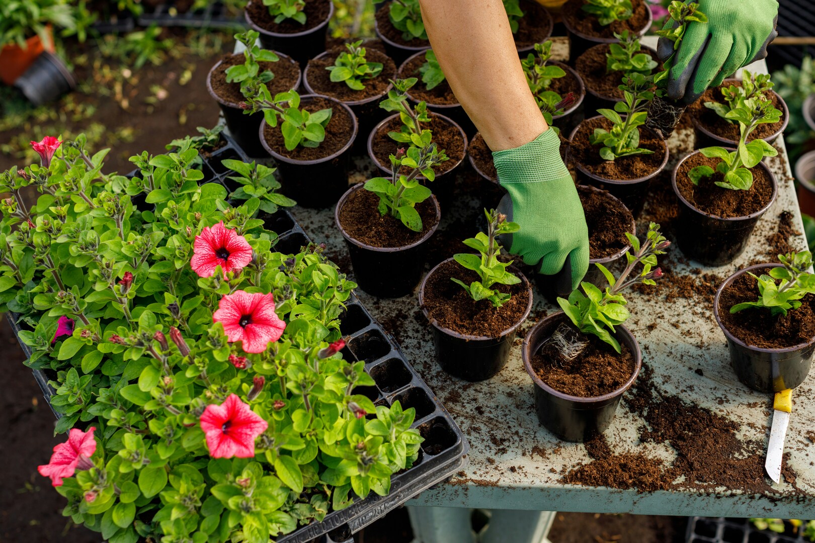 Good food. Good friends. Good for the future.