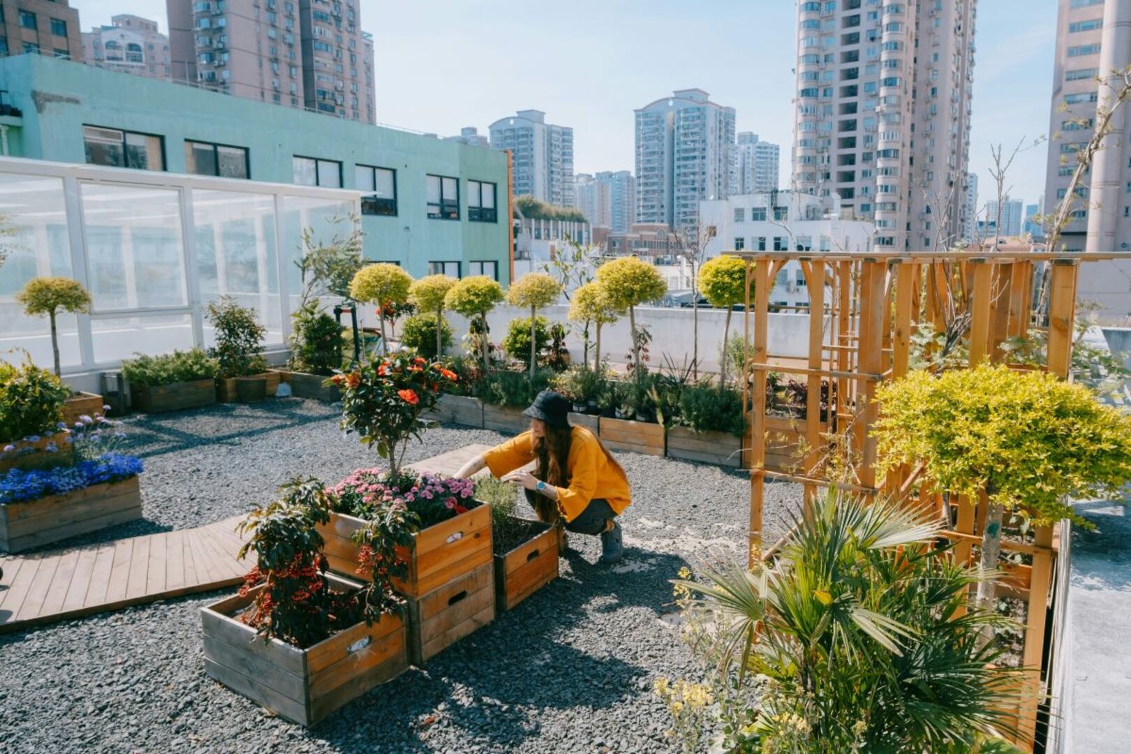 Couple Transforms Chicago’s Vacant Lots into Flower Farms with the Help of At-risk Youth.