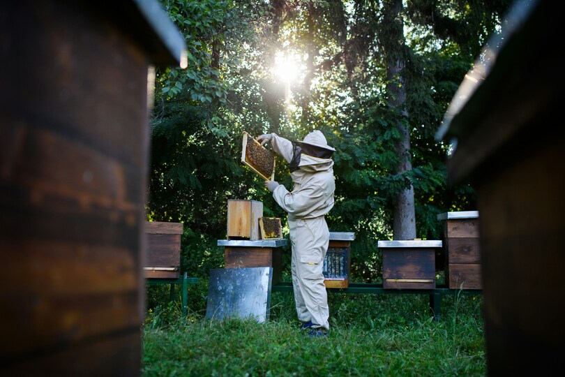 Benny’s Bees. How a former Marine with PTSD finds solace in service and beekeeping.