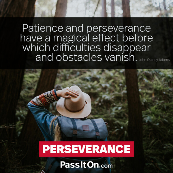Patience and perseverance have a magical effect before which difficulties disappear and obstacles vanish. #<Author:0x00007f6b2f389108>