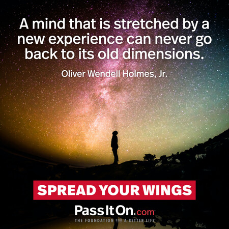 A mind that is stretched by a new experience can never go back to its old dimensions. #<Author:0x00007fad6af4a280>