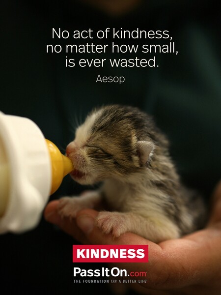 No act of kindness, no matter how small, is ever wasted. #<Author:0x00007fad6b813e98>