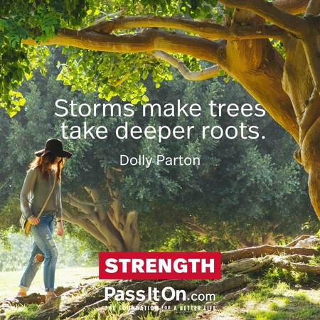 Storms make trees take deeper roots. #<Author:0x00007fad6a1b57a0>