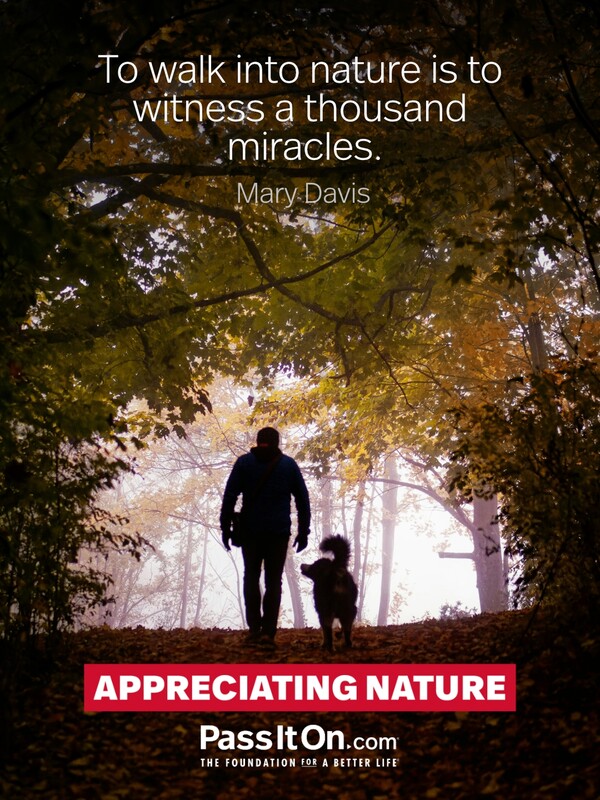 To walk into nature is to witness a thousand miracles. #<Author:0x00007f6b2fb05508>