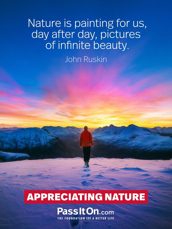 Nature is painting for us, day after day, pictures of infinite beauty. #<Author:0x00007f6b2fb08d48>