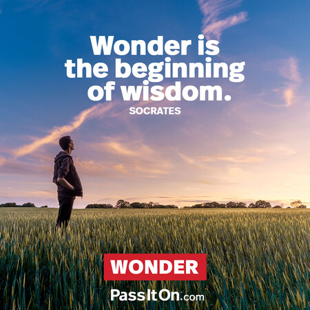 Wonder is the beginning of wisdom. #<Author:0x00007fad6afd0790>