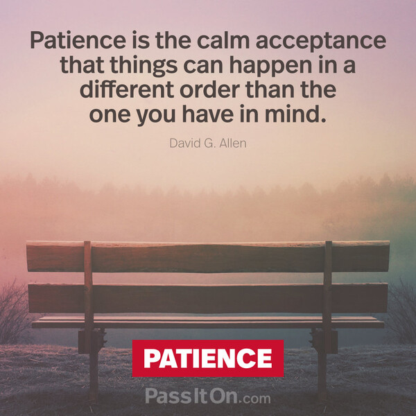 Patience is the calm acceptance that things can happen in a different order than the one you have in mind. #<Author:0x00007f6b2fdc1198>