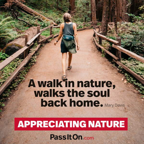 A walk in nature, walks the soul back home. #<Author:0x00007f6b2f38be08>