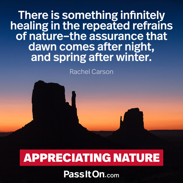 There is something infinitely healing in the repeated refrains of nature – the assurance that dawn comes after night, and spring after winter. #<Author:0x00007f6b2f38e4c8>