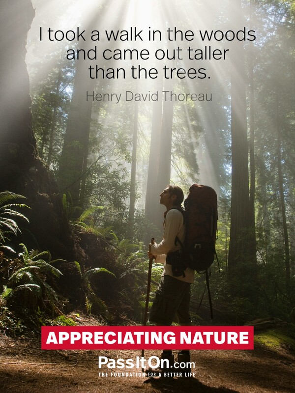 I took a walk in the woods and came out taller than the trees. #<Author:0x00007f6b2fb09ec8>