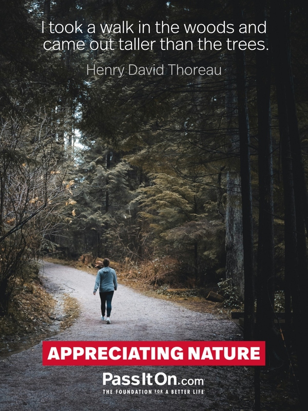 I took a walk in the woods and came out taller than the trees. —Henry David Thoreau