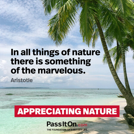 In all things of nature there is something of the marvelous. #<Author:0x00007fad6a192318>